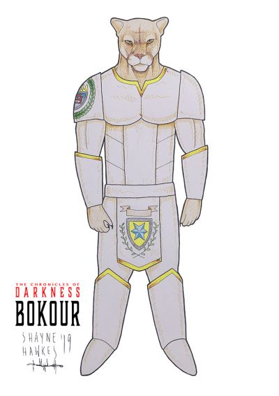 Bokour
